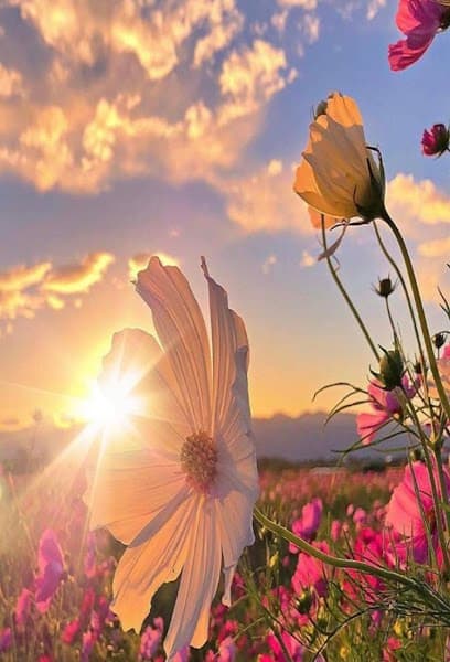 Hope & Healing Counseling Center Inc.