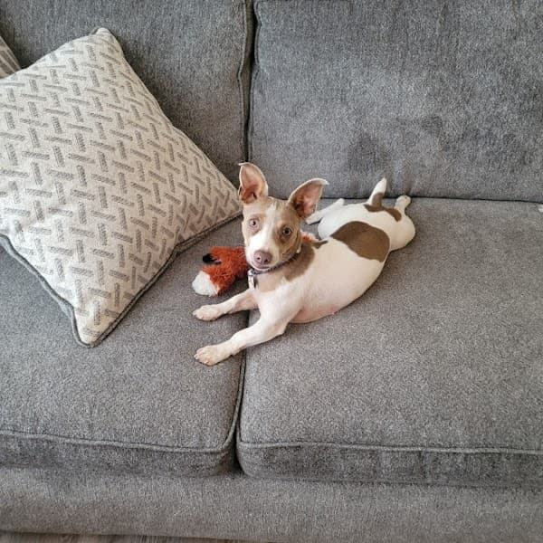 Hope Evergreen Counseling LLC