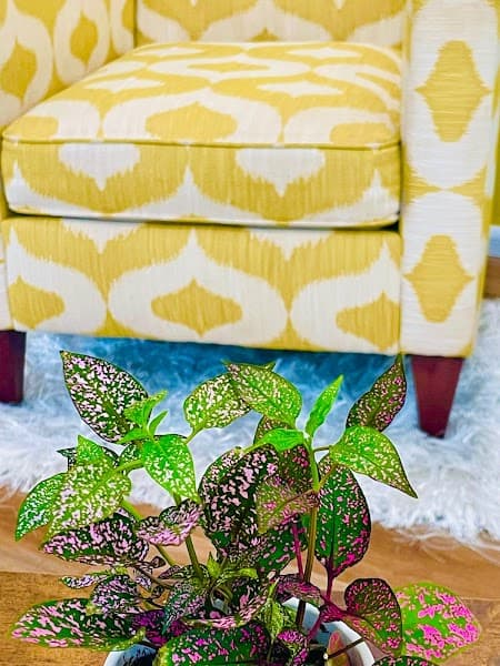 House of Healing Hawaii