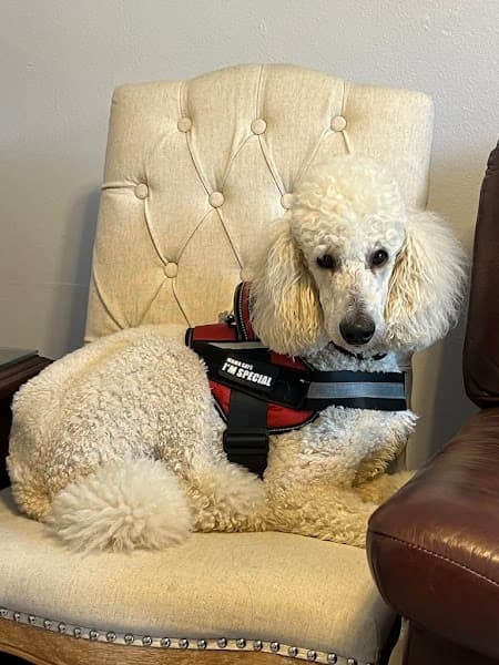 Illuminated Pathways Family Therapy, LLC