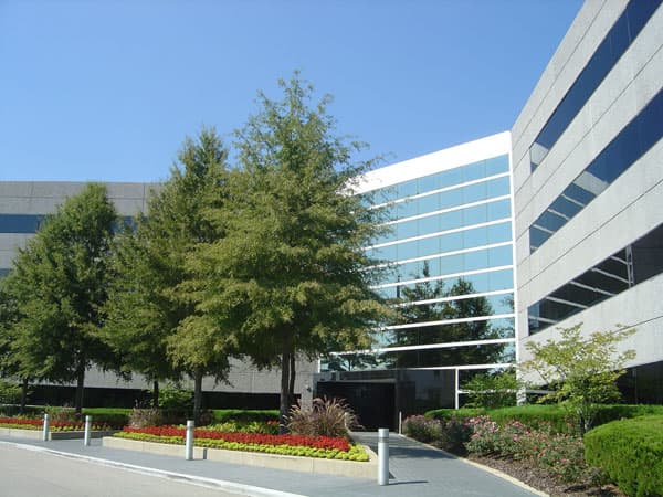 Insight Therapeutic Services