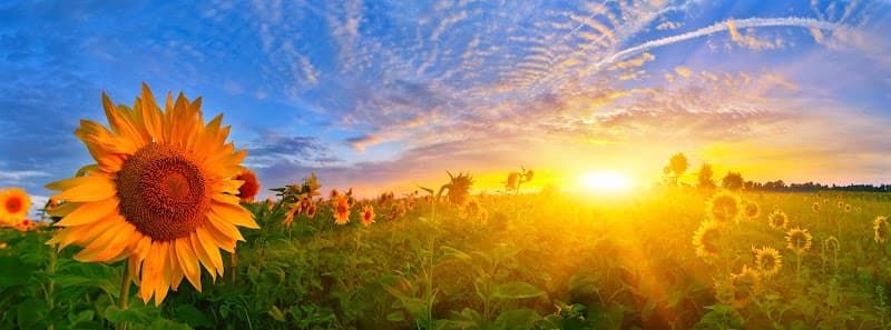 Kathleen Toombs LMFT - MA -MS