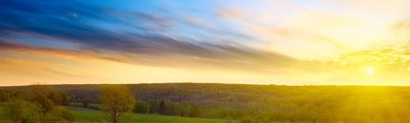 Kerrie Byrnes Siegl, LLC