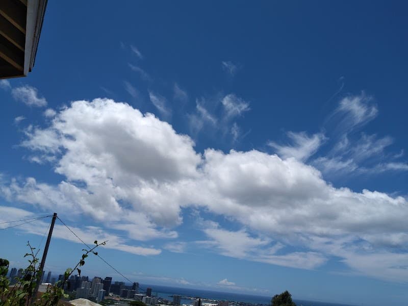 Ku Aloha Ola Mau: Turban Joseph MD