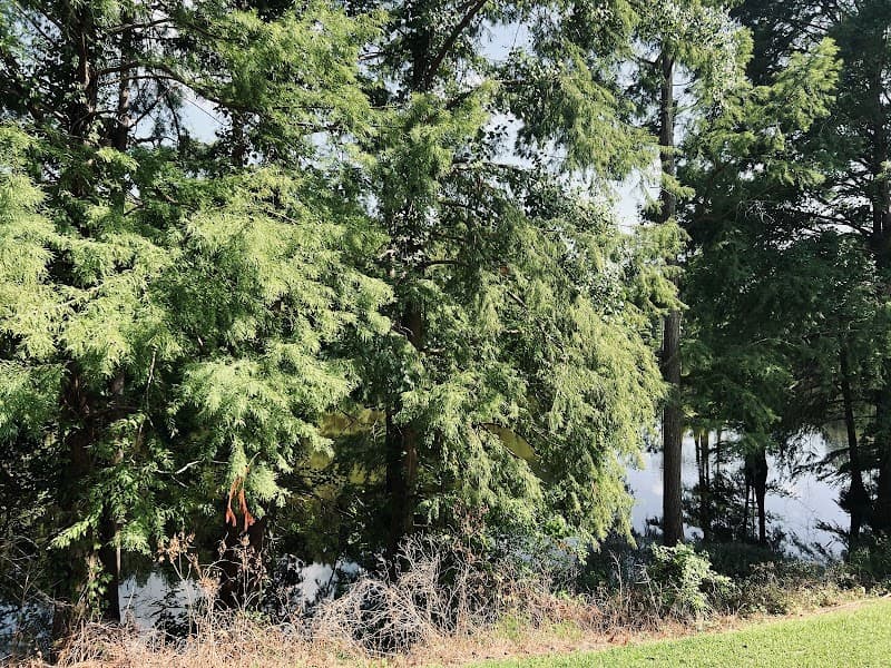 Lakeland Drive Counseling, LLC