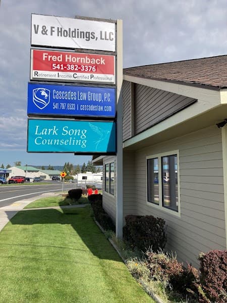 Lark Song Counseling, Llc