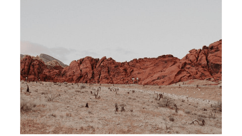 Las Vegas Counseling