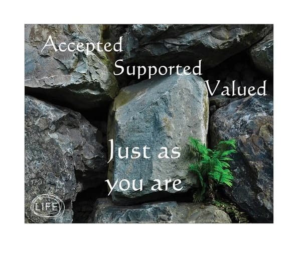 Life Counseling Center