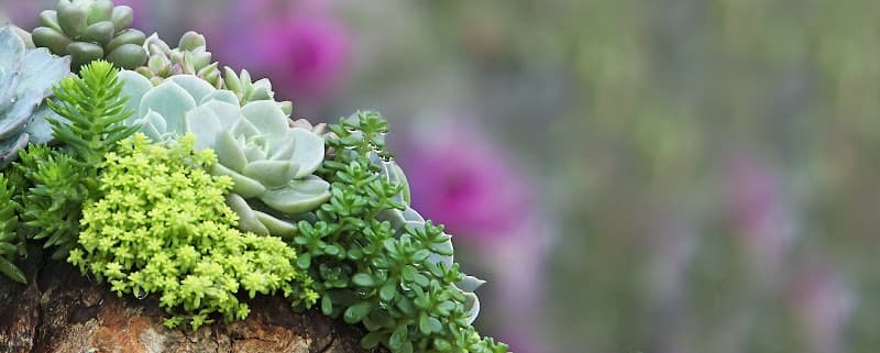 LifeSolutions Counseling of Indiana