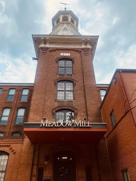 LifeSpring Counseling Services