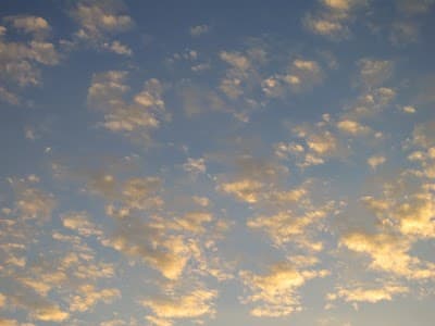 Marla Cass, San Francisco Psychotherapy