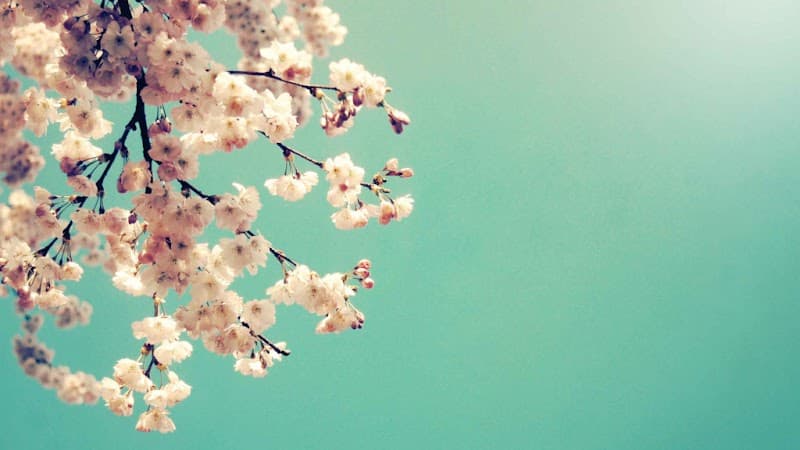 Marriage & Couples Counseling in Bergen