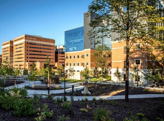 Mayo Clinic Addiction Services