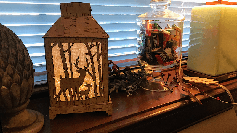 MH Counseling Services LLC, Owner Mara H Steinhour, LLC