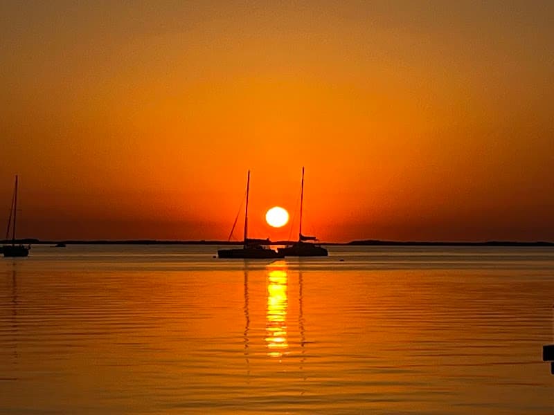 Mind Wellness Services