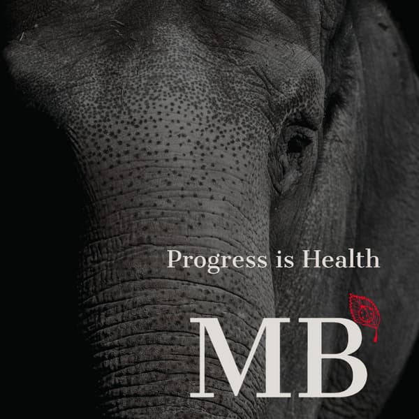 Mindful Behavior PLLC