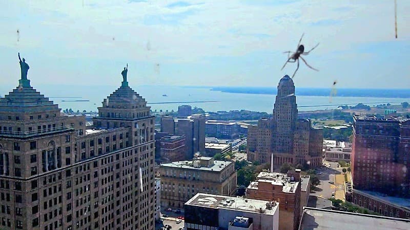 Mobile Counseling of New York