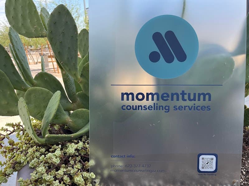 Momentum Counseling Services
