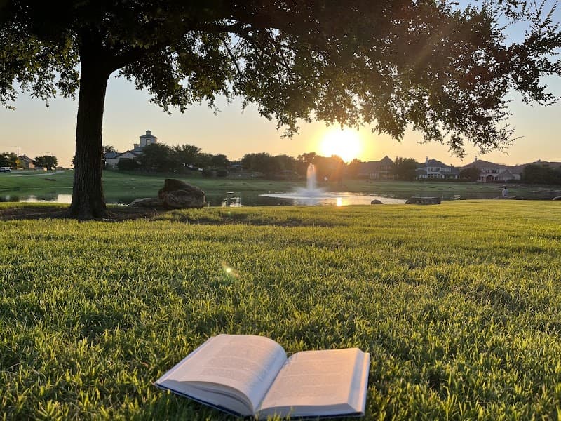 Next Chapter Therapy