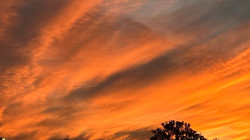 Nine Skies Psychotherapy, PLLC