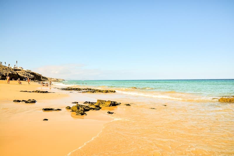 Oceanic Counseling Group