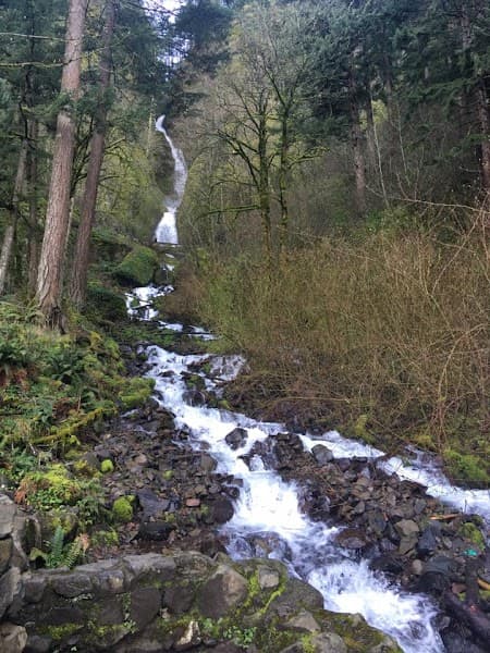 One River Family Therapy Services-Vanessa Fechter, LSCSW