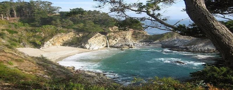 Online Therapy with Dr. Masha