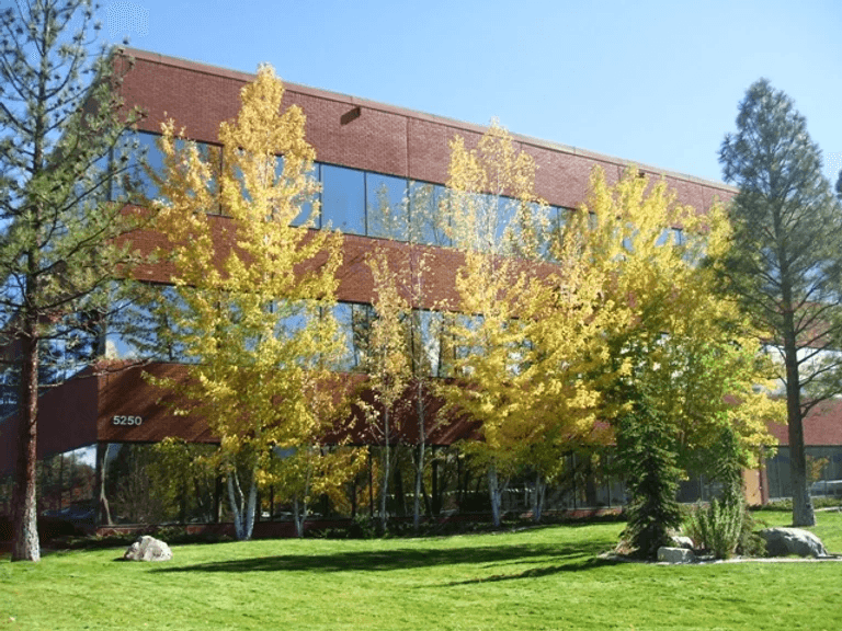 | Resilience Wellness Center