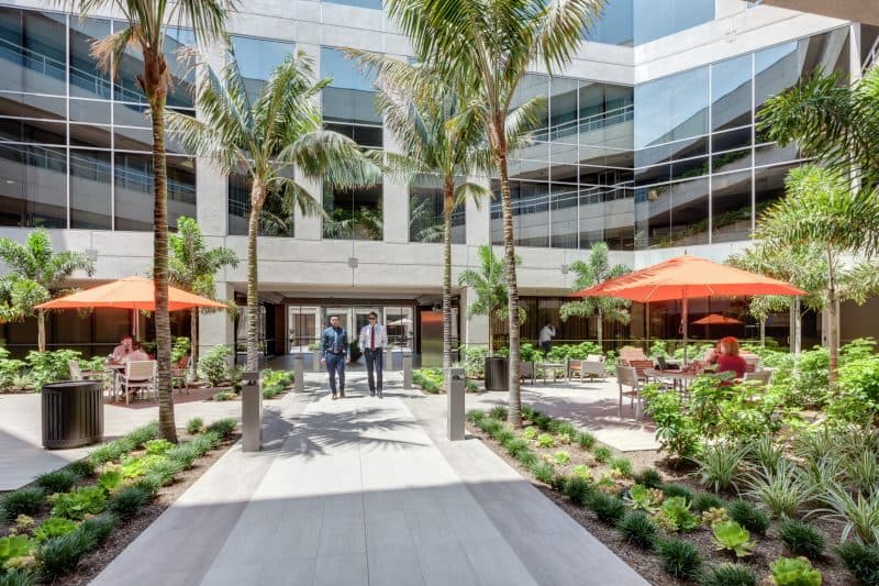 Orange County Health Psychologists