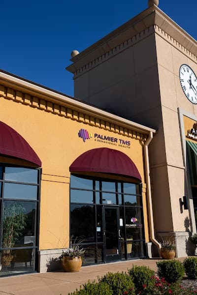 Palmier TMS - Chesterfield