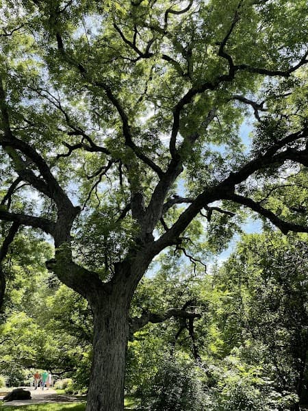 PATH Counseling and Wellness