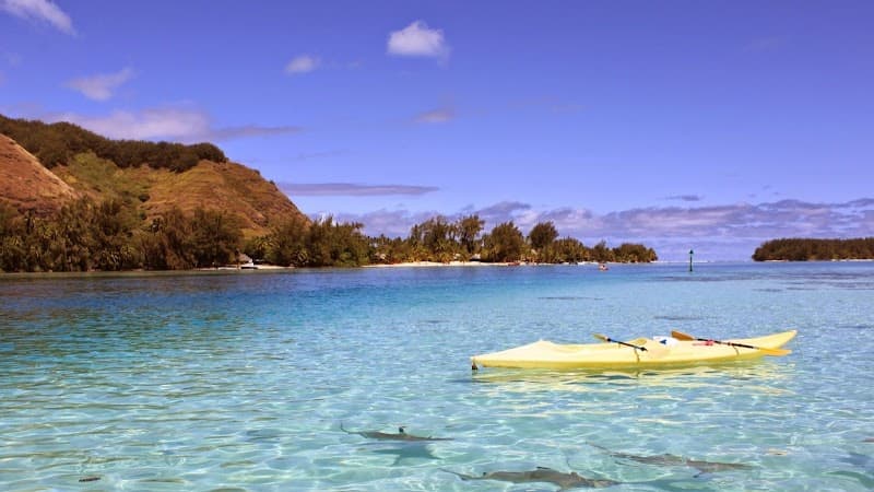 Peacemaker Solutions, LLC