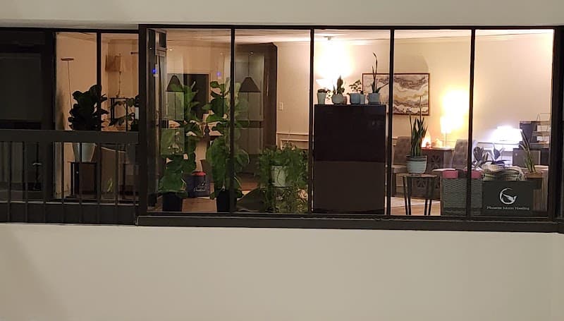 Phoenix Moon Healing, PLLC