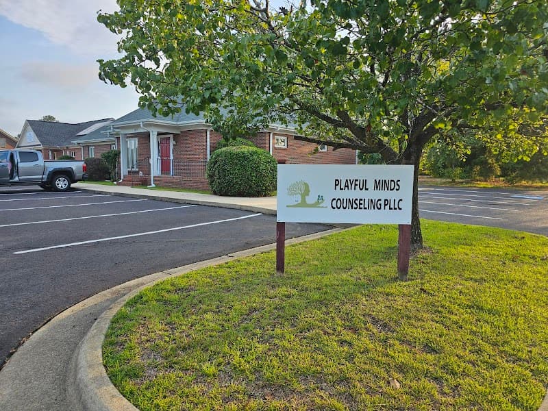 Playful Minds Counseling, PLLC