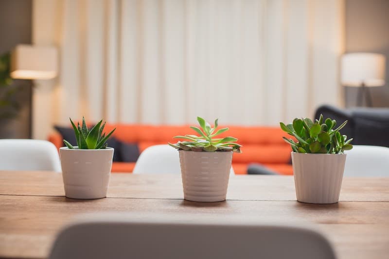 Portland Mental Wellness