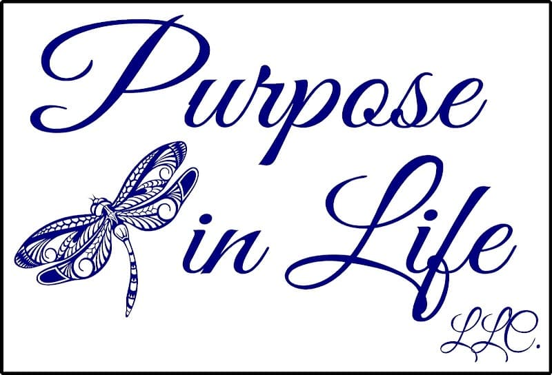 Purpose in Life, LLC