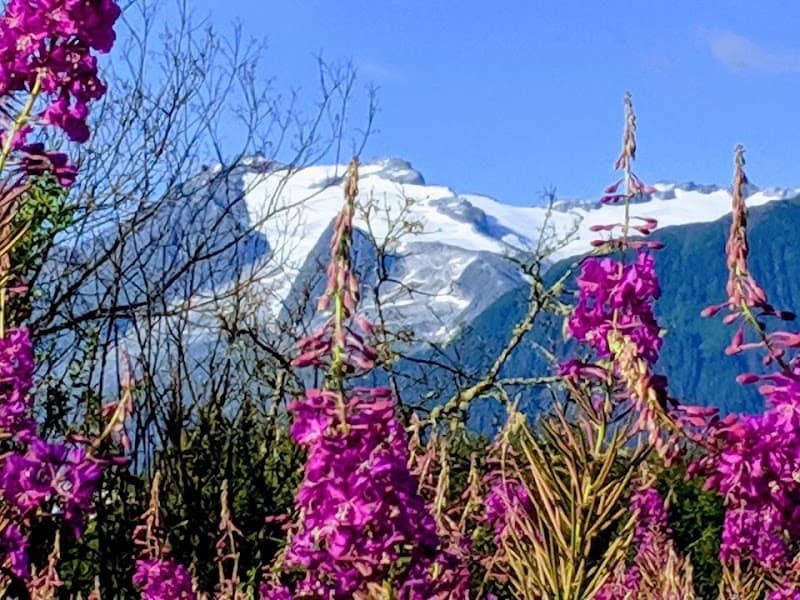 Refocus Counseling Wasilla