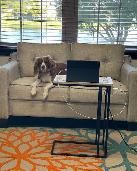 Reframed Therapy, LLC