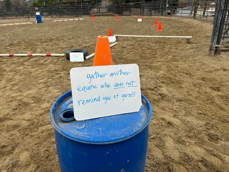 Reins of Valor Psychotherapy