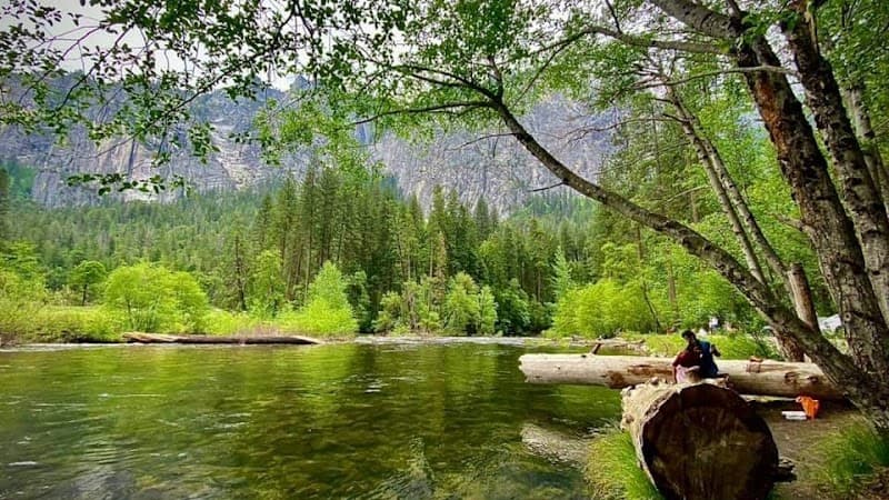 Restorative Psychotherapy & Wellness LLC