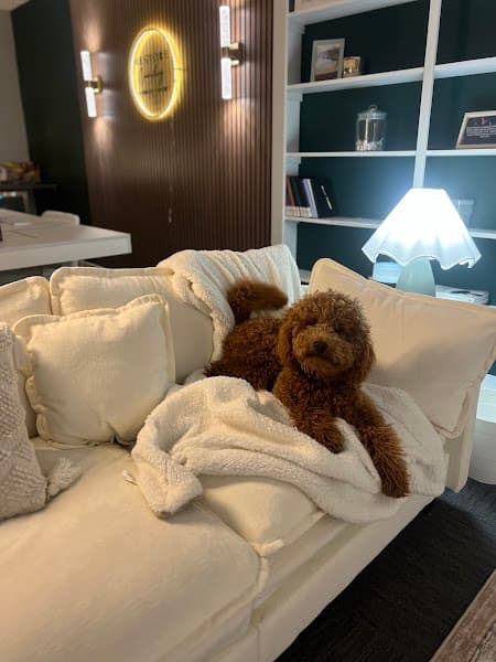 Restore Counseling Johnson County, LCPC, LMAC