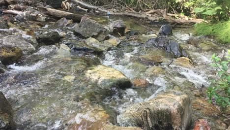 Rivers of Peace Counseling Services, PLLC