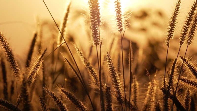 Robert Zucker, Consulting for the Journey