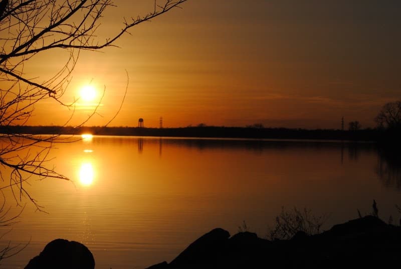 Robin R Varghese, PT