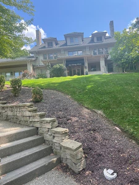 Rooted & Rising Therapy