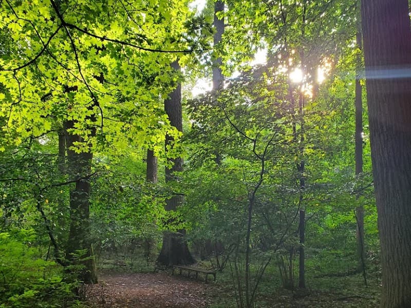 Rooted Lancaster LLC