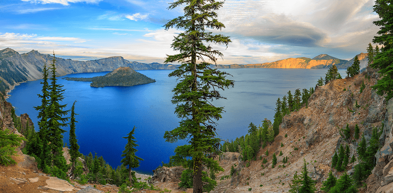 Salem Wellness Clinic