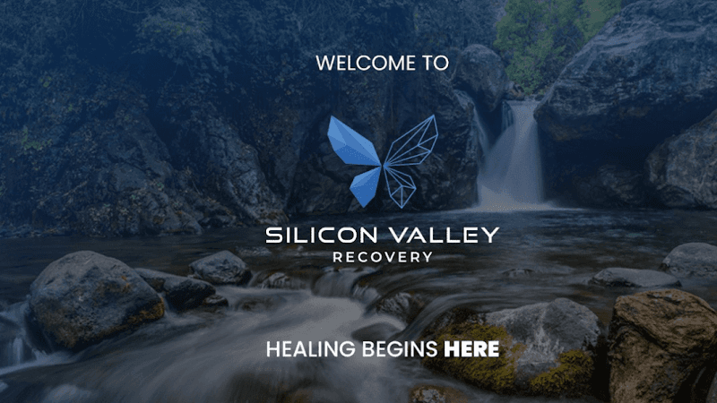 Silicon Valley Recovery