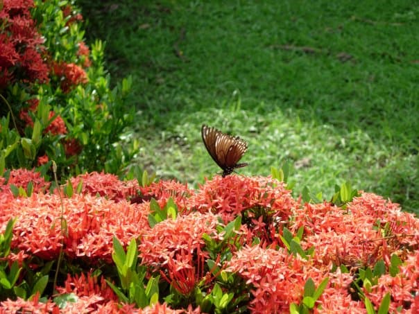 Solid Foundation Couple and Individual Therapy