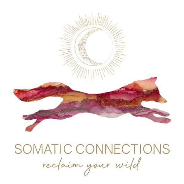 Somatic Connections